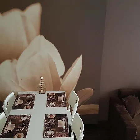 Apartament Diva *